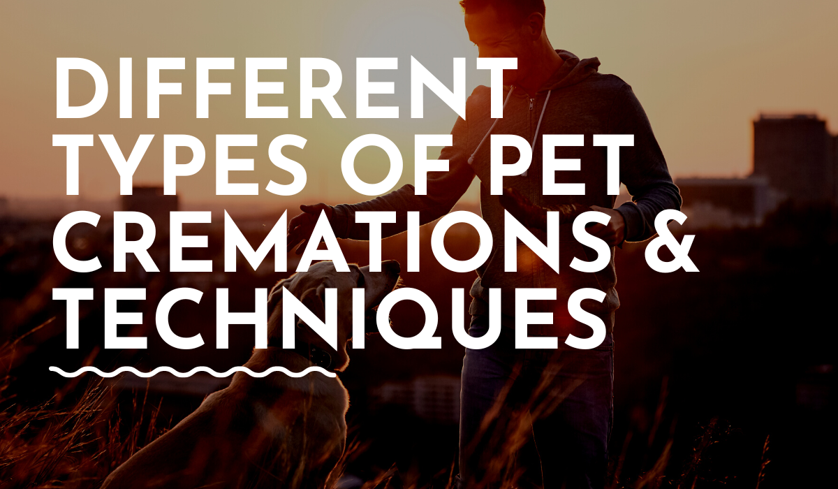 Different Types of Pet Cremations & Techniques