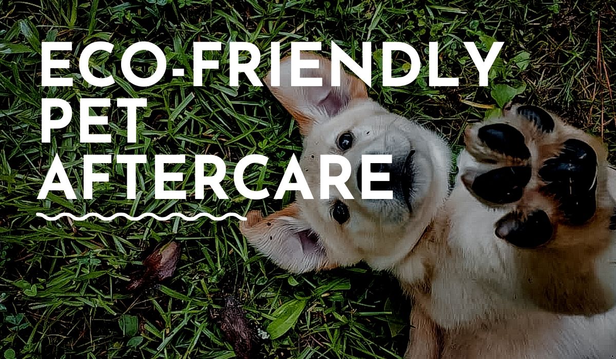 Eco-Friendly Pet Aftercare