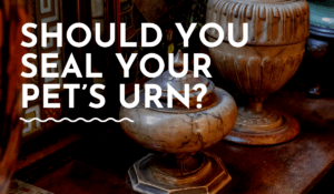 Should You Seal Your Pet’s Urn?