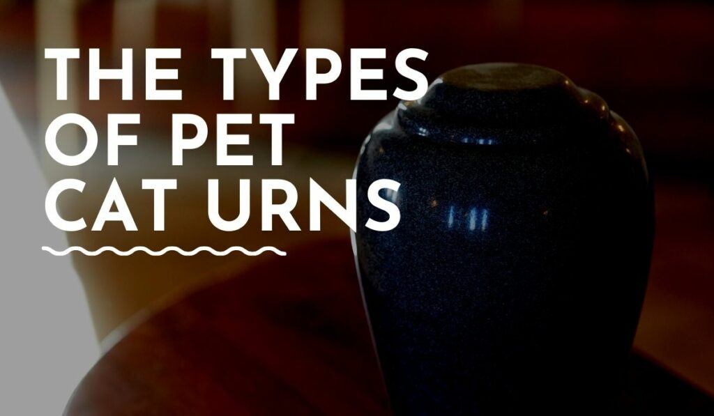 5 Types of Cat Pet Urns to Honor Your Pet (With Pictures)