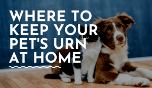 Where to keep your pet's urn at home