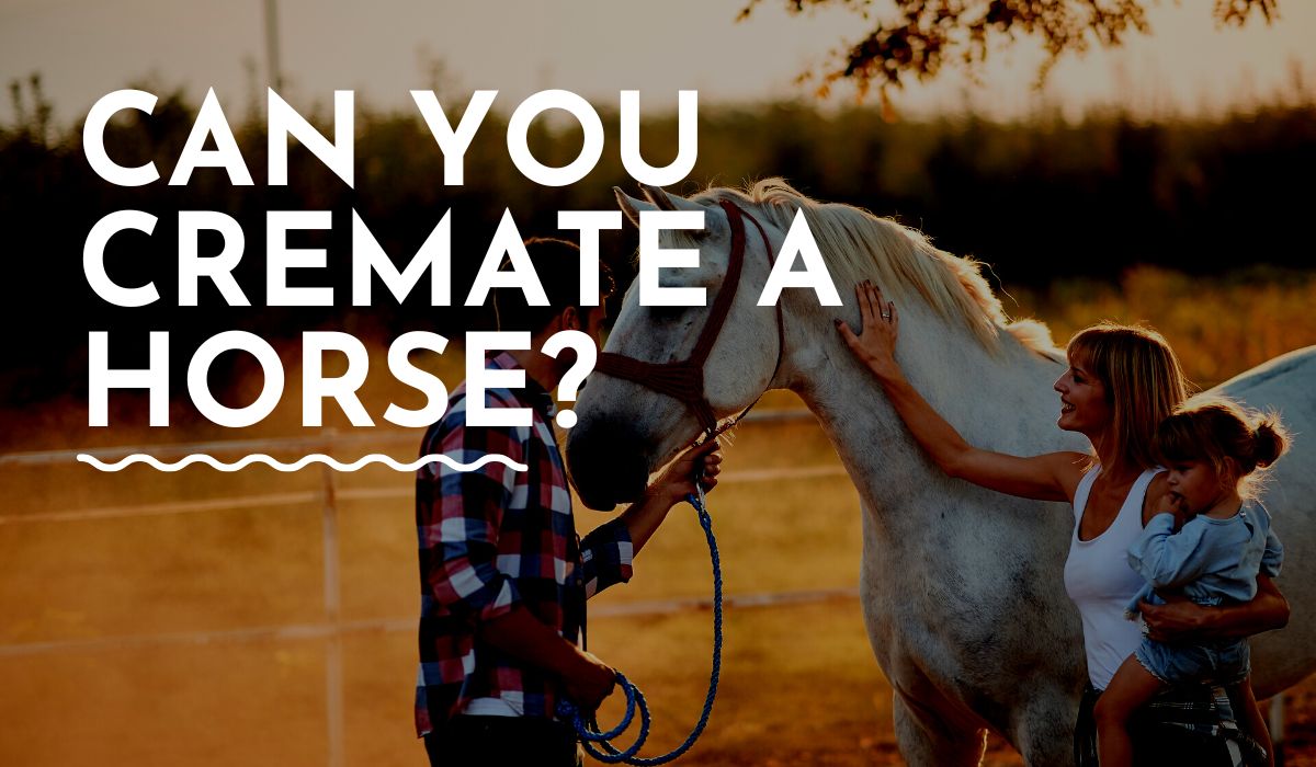 can you cremate a pet horse