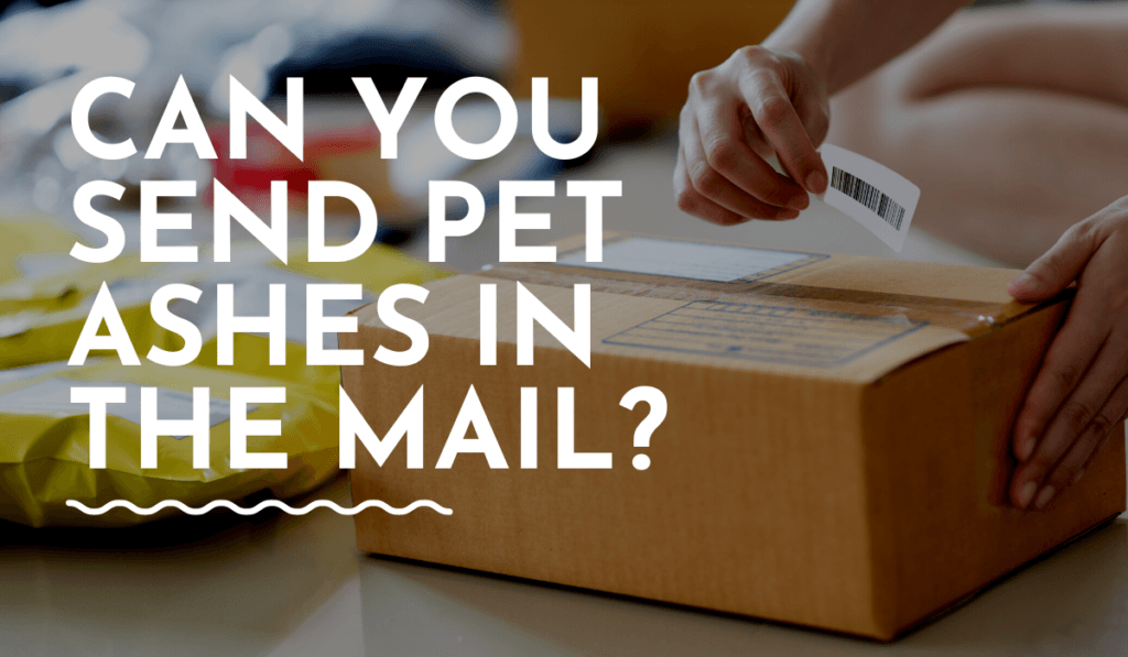 Can You Send Pet Ashes in the Mail? PetDeparted