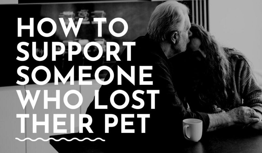 how-to-support-someone-who-just-lost-their-pet-petdeparted