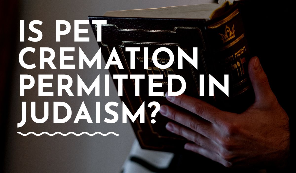 Is Pet Cremation Permitted in Judaism?