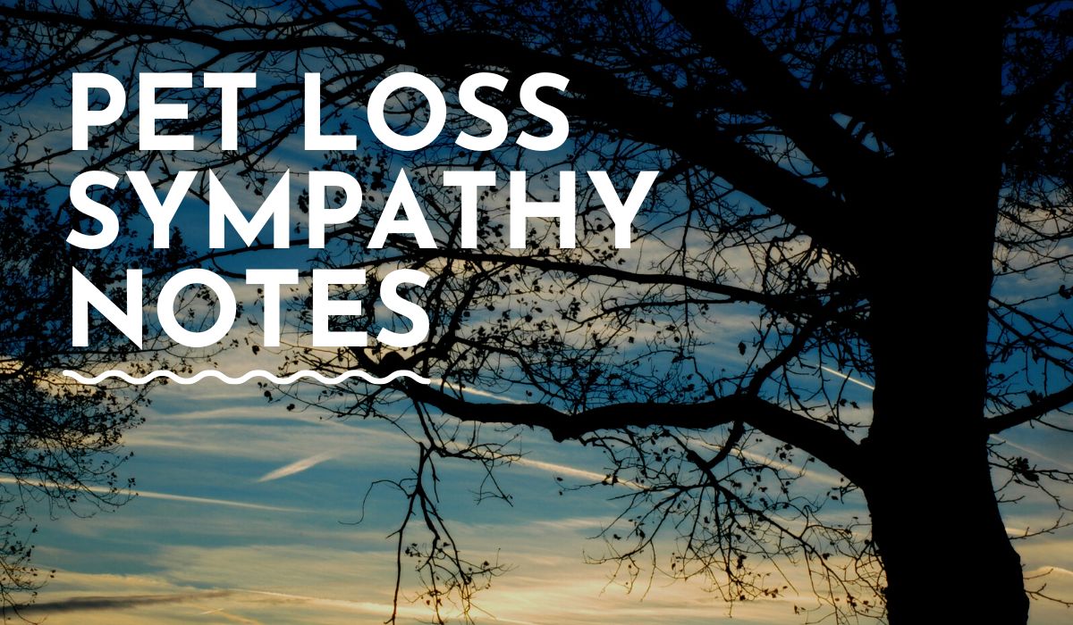 Pet Loss Sympathy Notes