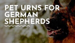 Pet Urns for German Shepherds