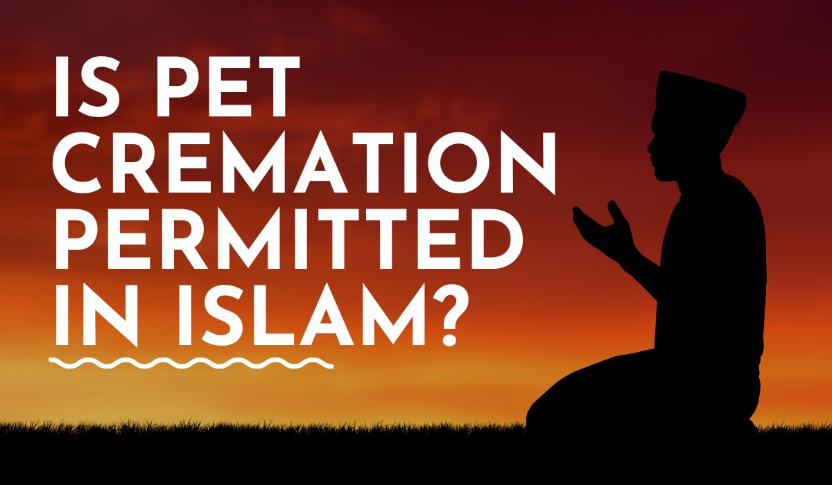 is pet cremation permitted in islam