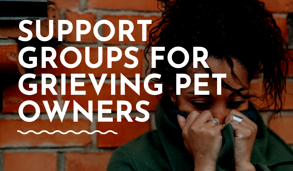 resources for grieving pet owners