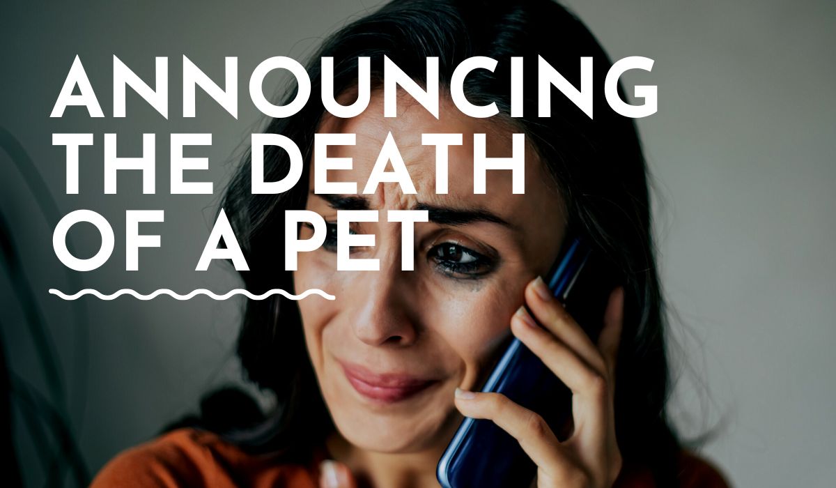 How to Announce the Death of a Pet to Your Family