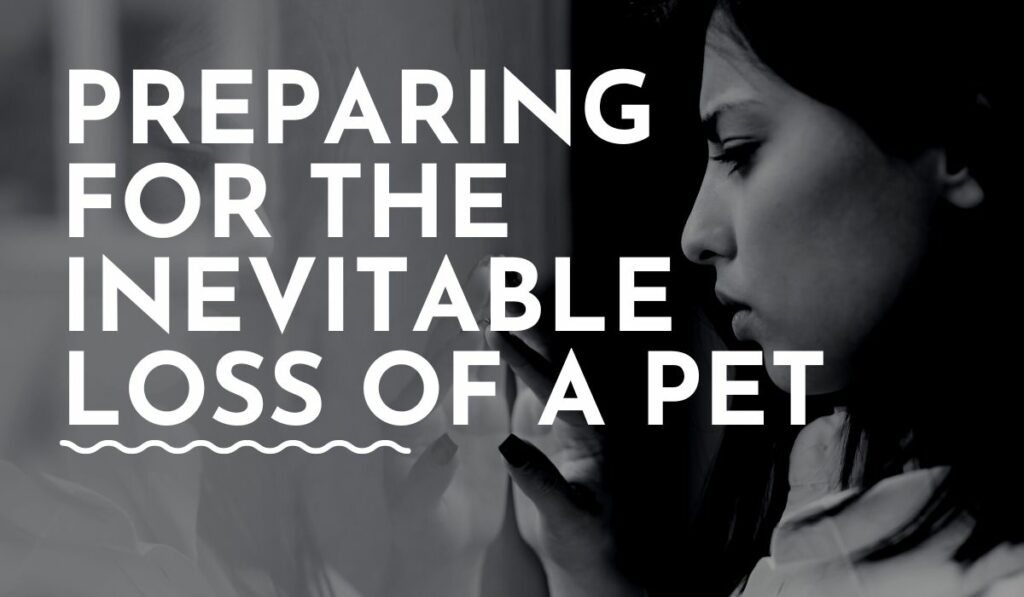 How to Prepare for the Inevitable Loss of a Pet (Tips & Strategies)