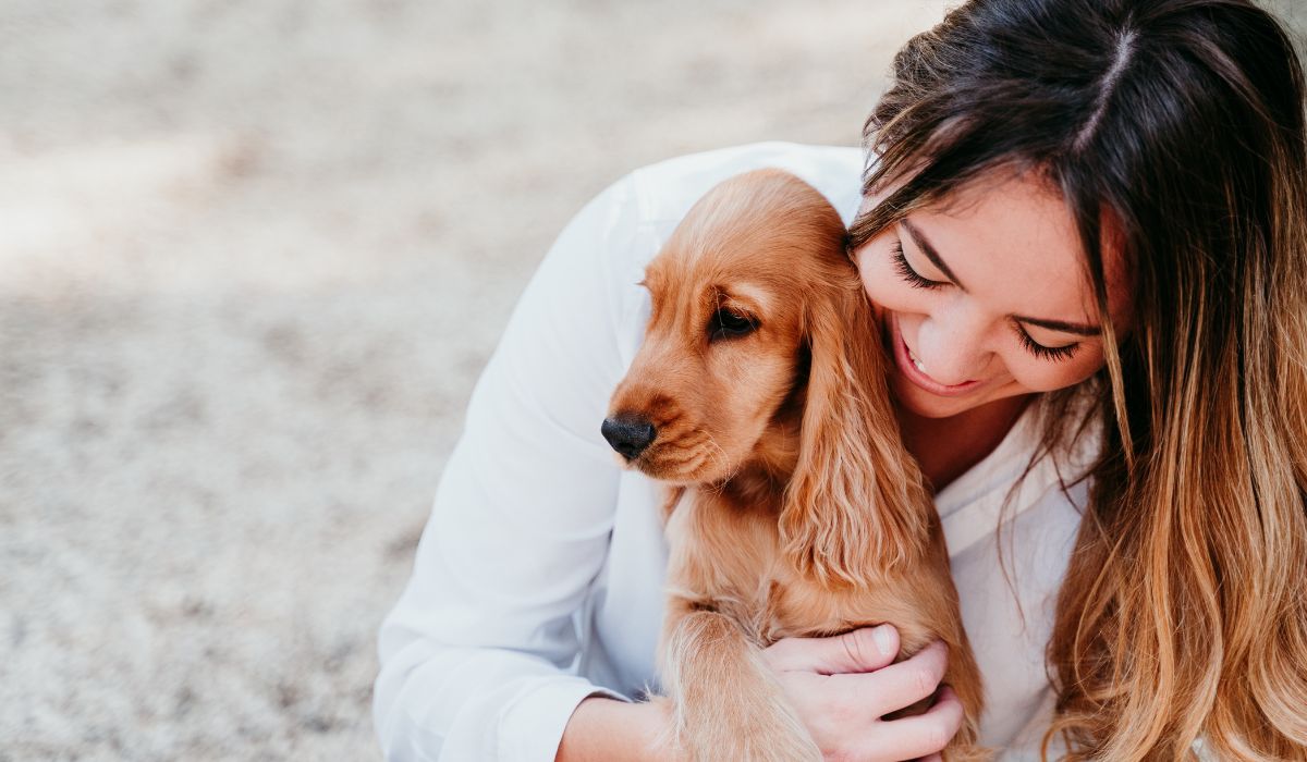 remembering your departed pet