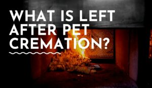 what is left after pet cremation