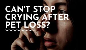 What to do if You Can’t Stop Crying (After Pet Loss)