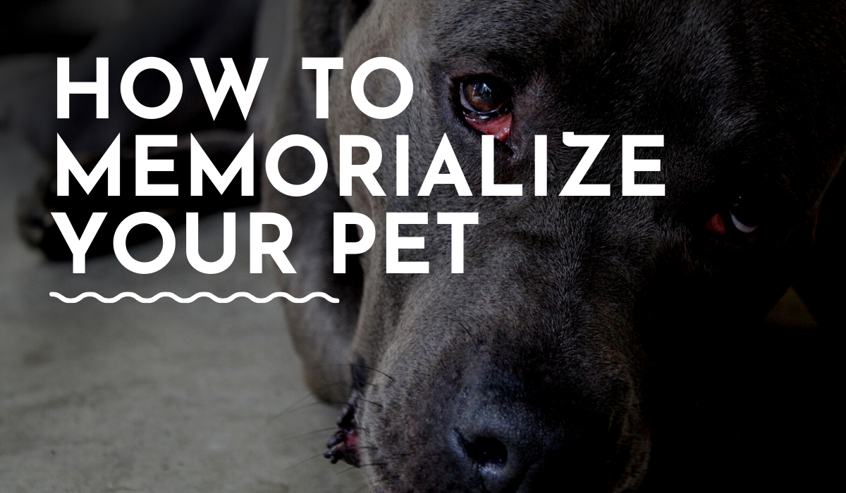 how to memorialize your pet after death