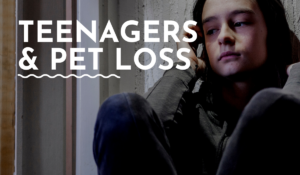 teenagers and pet loss