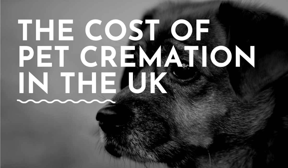 what-is-the-average-cost-of-pet-cremation-in-the-uk