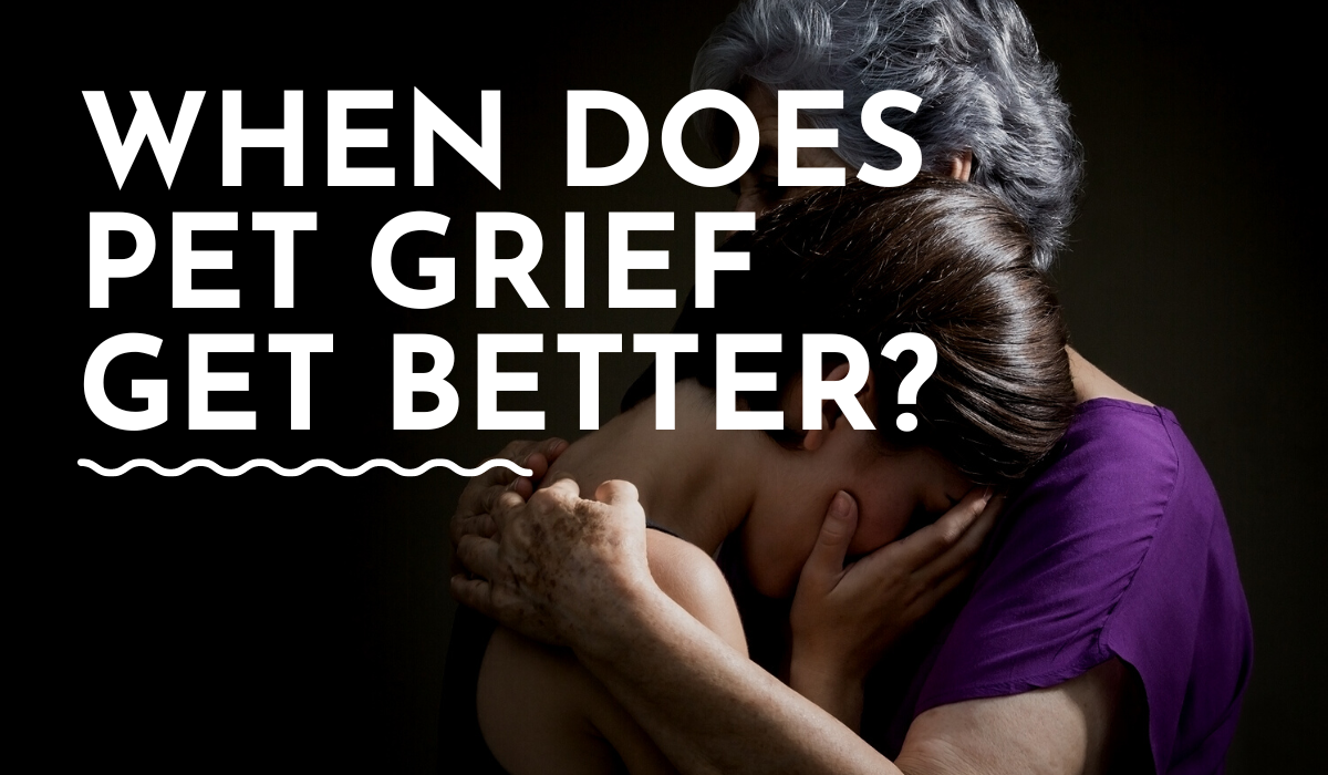 when does pet grief get better