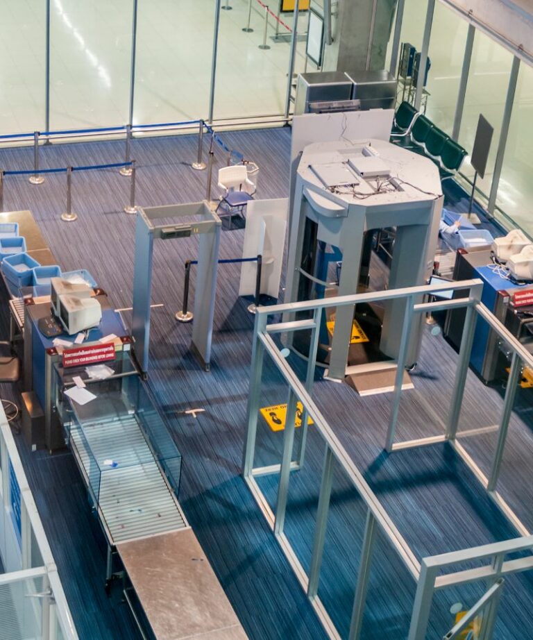 Can You Take Pet Ashes on a Plane? (Traveling with Cremains)