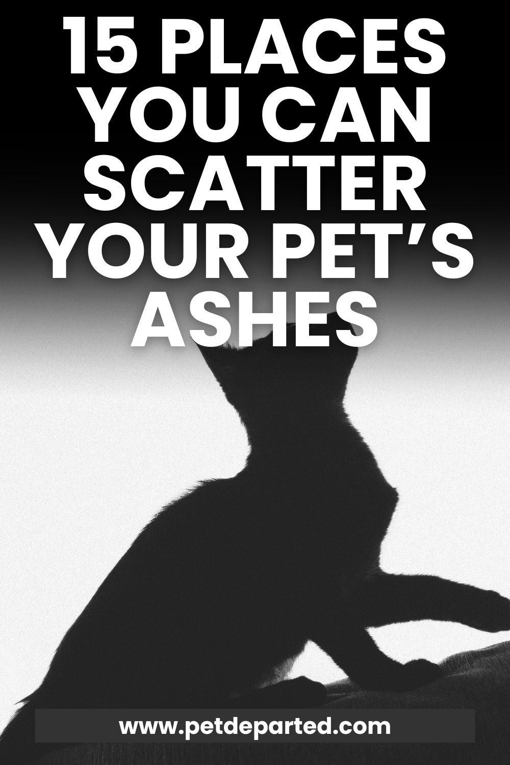 Places You Can Scatter Your Pet ashes