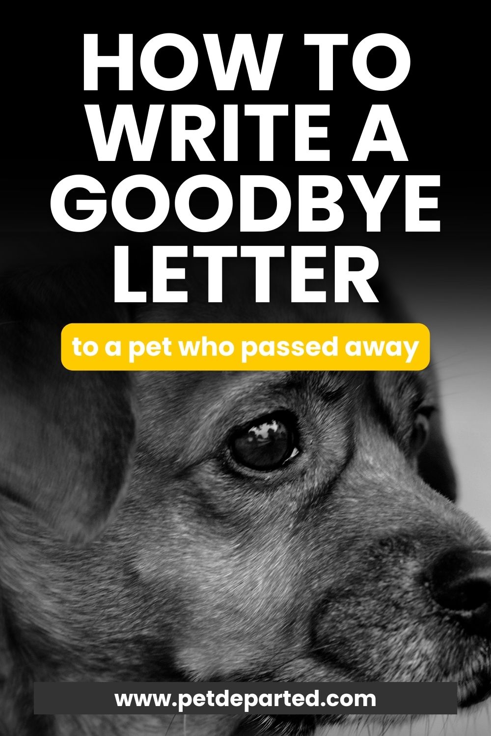 how to write a goodbye letter to a pet who passed away