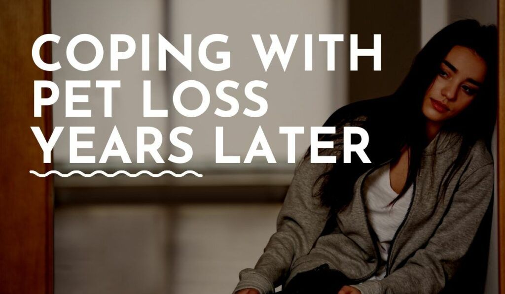 Understanding Unresolved Grief Coping With Pet Loss Years Later
